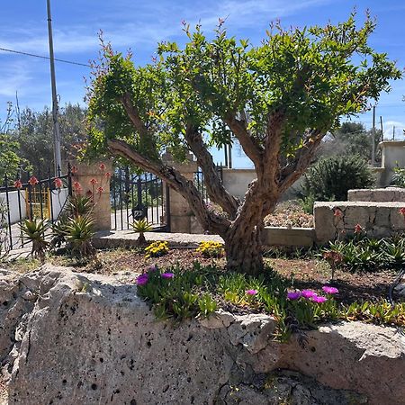 Villetta Dagre Fronte Mare Marittima Exterior foto